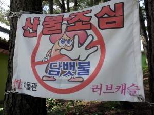 I have no idea what this penis is trying to tell me, but it looks serious...