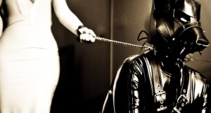 Taking a pet for a walk.