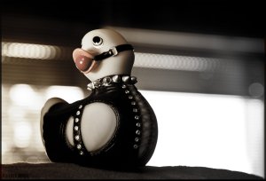 bondage_duck_by_airglow