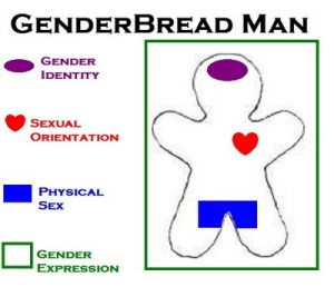 genderbread-man
