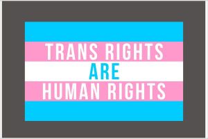 TRHR9382-CHARCOAL-HPOST